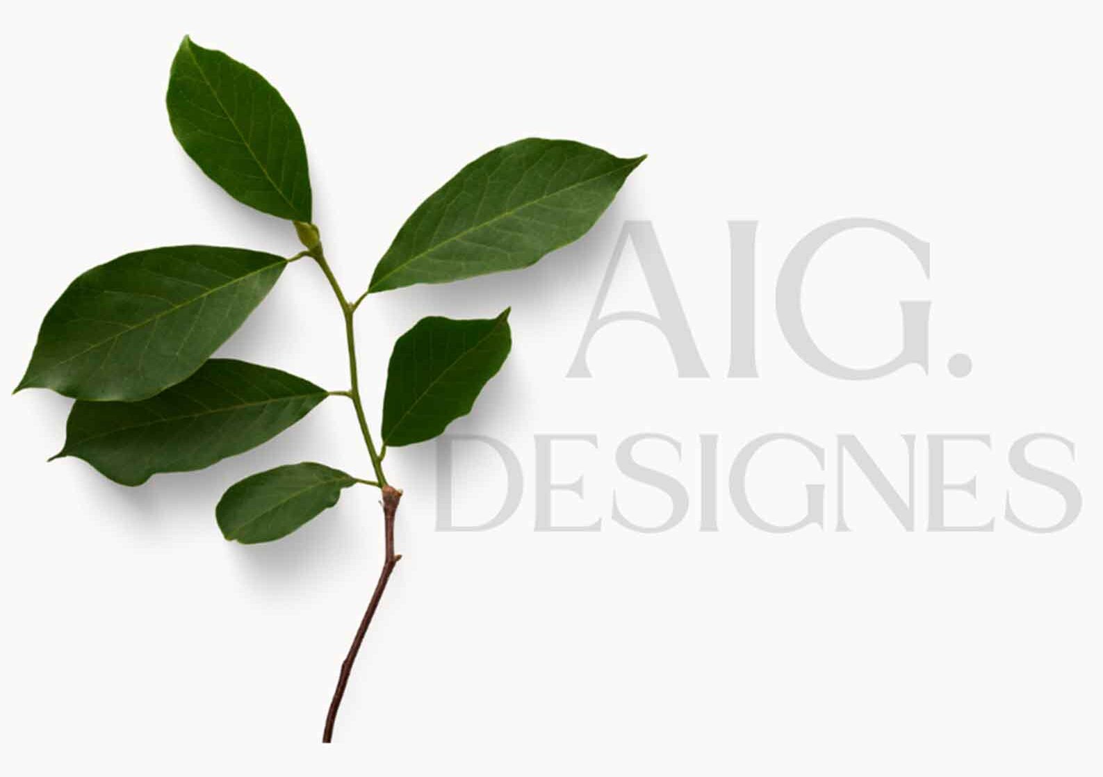 AIGdesigns.com